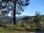 Valle del Genal
Cuesta de Algatocin
Malaga