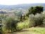 San Gimignano
Vista a la colinas
Siena