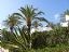 Marbella
Pitas y palmeras
Malaga