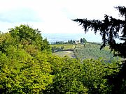 Viale delle Fonti, San Gimignano, Italia