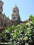 Jardines de la Catedral, Malaga, España