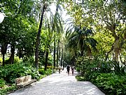 Parque Central, Malaga, España