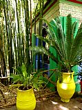 Jardin Majorelle, Marrakech, Marruecos