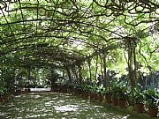 Jardin Botanico La Concepcion, Malaga, España