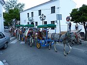 Calle Larga del Palmar, Mijas, España