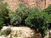 Carretera Tinerhir a Imilchil, Gargantas del Todra, Marruecos