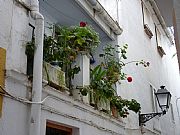 Calle Buitrago, Marbella, España