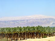 Desierto de Judea, Masada, Israel