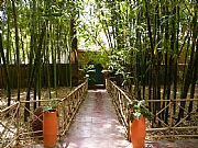 Jardin Majorelle, Marrakech, Marruecos