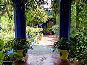 Jardin Majorelle, Marrakech, Marruecos