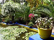 Jardin Majorelle, Marrakech, Marruecos