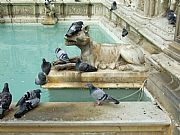 Fontana Gaia, Siena, Italia