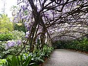 Jardin Botanico La Concepcion, Malaga, España