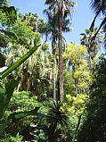 Jardin Botanico La Concepcion, Malaga, España