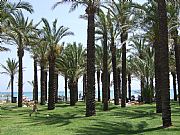 Playa de la Carihuela, Torremolinos, España