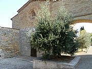 Camara DMC-FZ38
Capilla templaria
José Baena Reigal
SAN GIMIGNANO
Foto: 28492