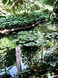 Jardin Botanico La Concepcion, Malaga, España