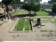 Foro, Ostia Antica, Italia