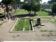 Camara FinePix F20    
Inmenso campo de ruinas
José Baena Reigal
OSTIA ANTICA
Foto: 27043