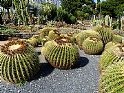 Parque de la Paloma, Benalmadena, España