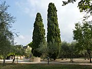 La Rocca, San Gimignano, Italia