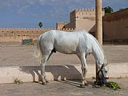 Meknes, Meknes, Marruecos