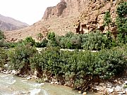 Carretera Tinerhir a Imilchil, Gargantas del Todra, Marruecos