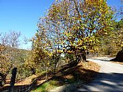 Valle del Genal, Genalguacil, España