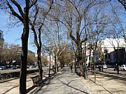 Paseo de la Castellana, Madrid, España