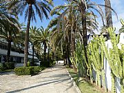 Playa de Casablanca, Marbella, España