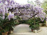 Jardin Botanico La Concepcion, Malaga, España