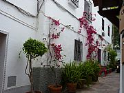 Calle San Diego, Marbella, España