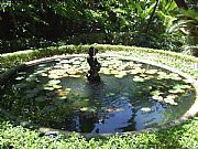 Jardin Botanico La Concepcion, Malaga, España