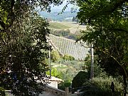 Via Bagnaia, San Gimignano, Italia