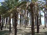 Playa del Bajondillo, Torremolinos, España