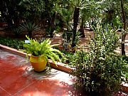 Jardin Majorelle, Marrakech, Marruecos