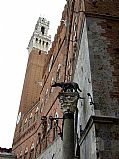 Piazza Il Campo, Siena, Italia