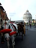 Piazza dei Miracoli, Pisa, Italia