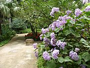 Jardin Botanico La Concepcion, Malaga, España