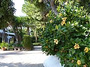 Puente Romano, Marbella, España