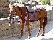 Explanada de la Ciudadela, Bosra, Siria