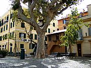 Piazza Paolo III, Frascati, Italia