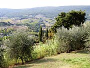 Rocca di Montestaffoli, San Gimignano, Italia