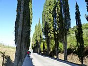 Viale della Remenbranza, Montepulciano, Italia