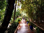 Jardin Majorelle , Marrakech, Marruecos