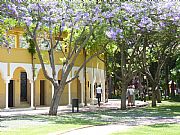 Parque de la Constitucion, Marbella, España