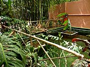 Jardin Majorelle, Marrakech, Marruecos