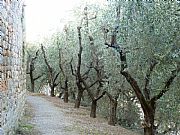 Iglesia di San Jacopo al Tempio, San Gimignano, Italia