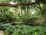 Jardin Botanico La Concepcion, Malaga, España