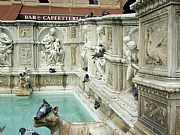 Fontana Gaia, Siena, Italia